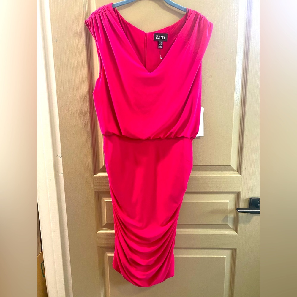 Adrianna Papell Ladies Dress Size 12. NWT